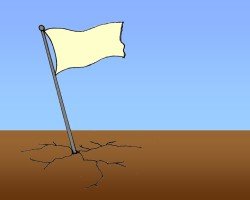 Blank Flag1